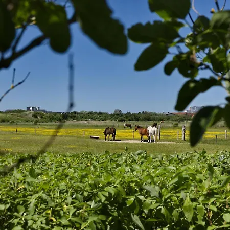 Holiday home Seabiscuit