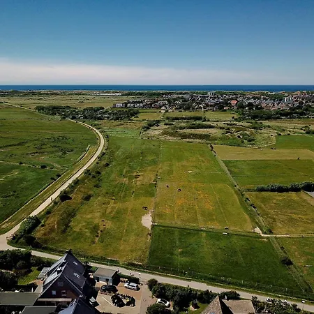 Seabiscuit * Sylt
